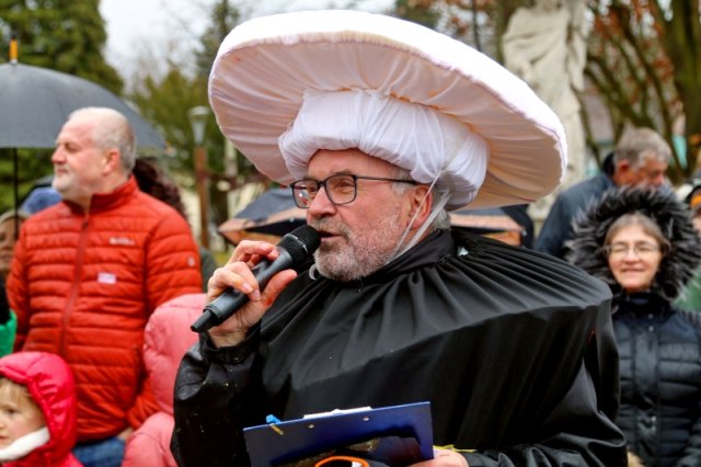Faschingsumzug 2023 (Fotos Rochus Hetzendorfer)